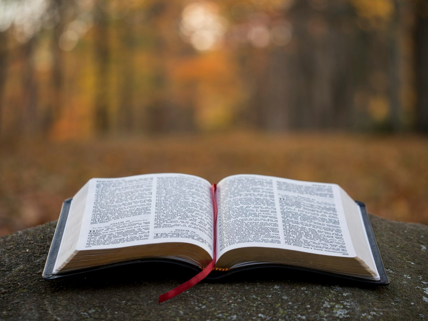Was sind Chiasmen in der Bibel?